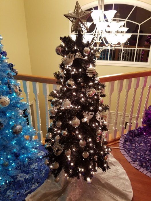 20171204_203721 (2017-12-04T20_37_21.000)